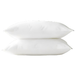 Pillow Insert, pillows, feather pillow, Outdoor Pillow Inserts, UV Resistant Water proof, Mold Resistant, Patio pillows, Outdoor Pillows, Low Prices, Good Quality inserts